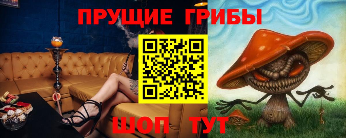 Елабуга  Псилоцибиновые грибы прущие грибы  Вход с VPN 