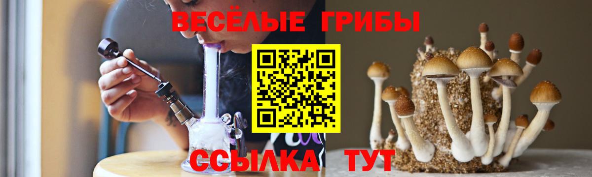 Галлюциногенные грибы мицелий Елабуга